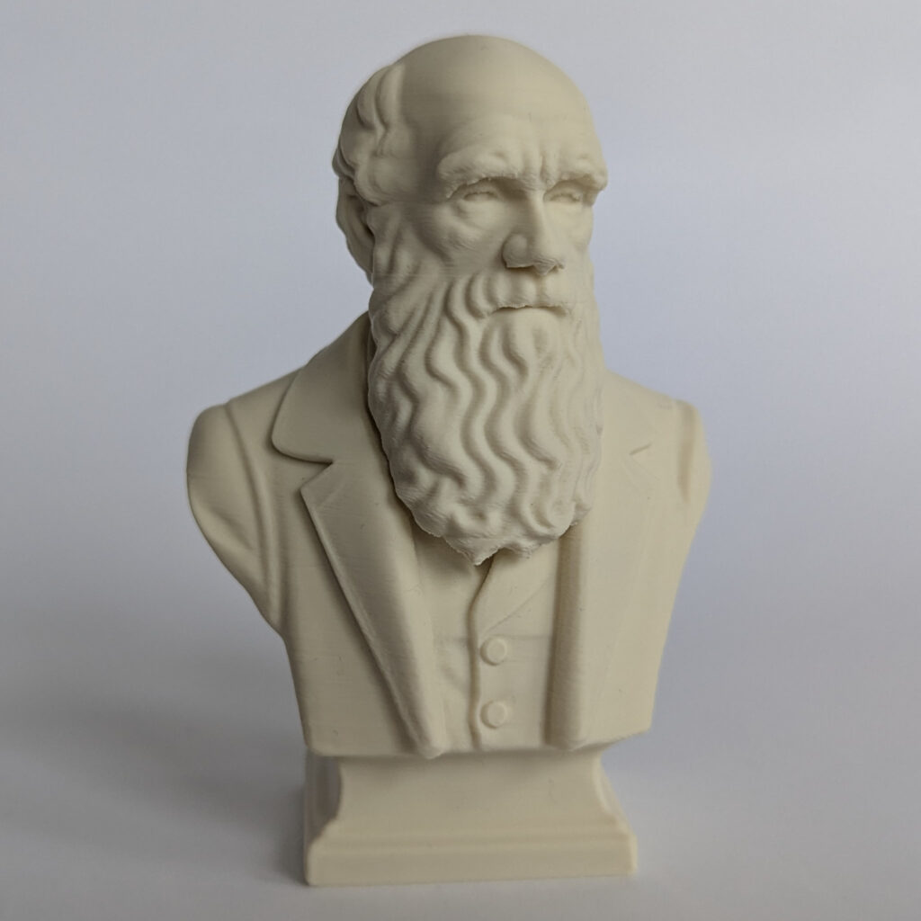 Darwin Statue photographed from the front