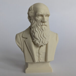 Darwin Statue photographed from the front