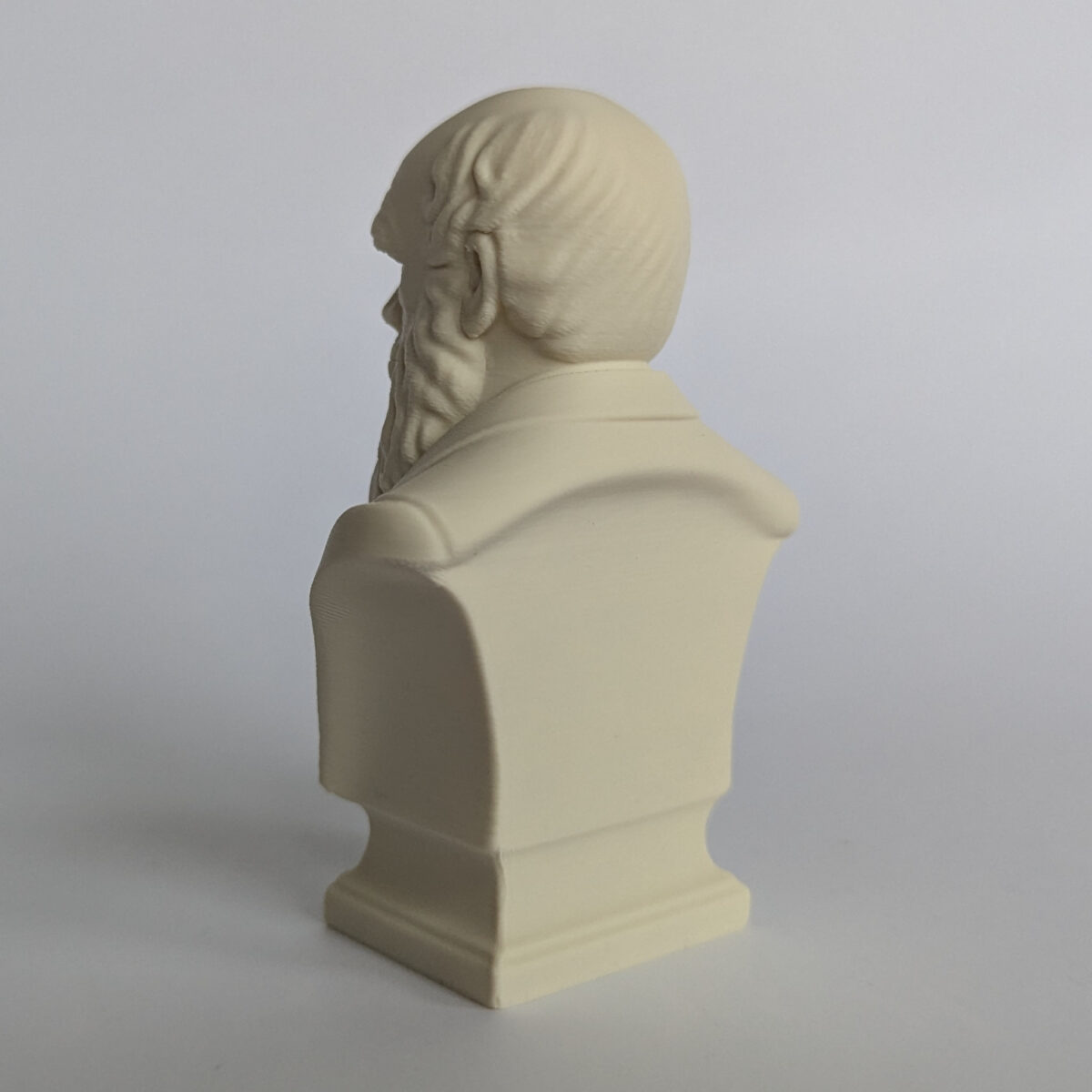 Darwin Statue photographed from the back left