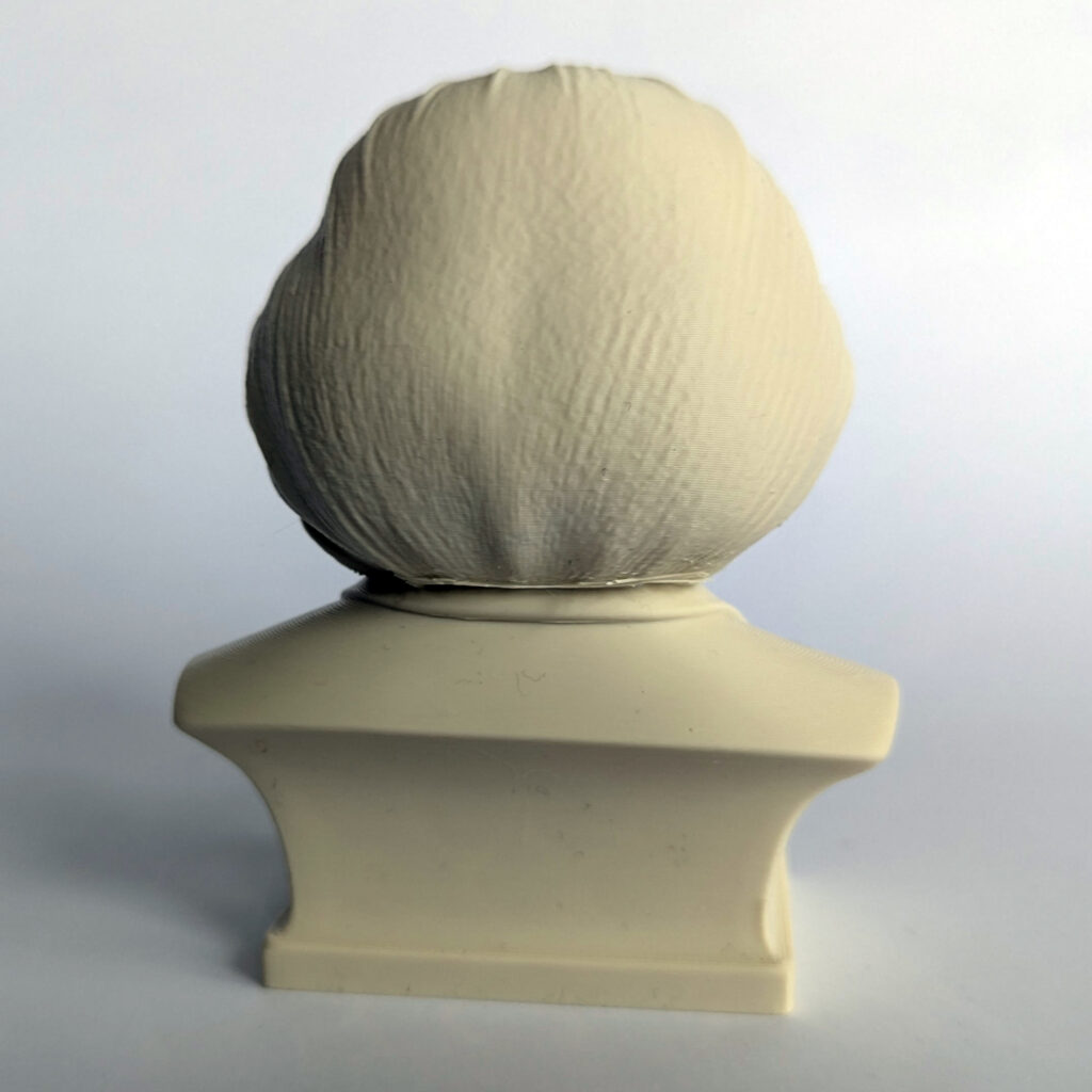 Einstein Bust photographed from the back