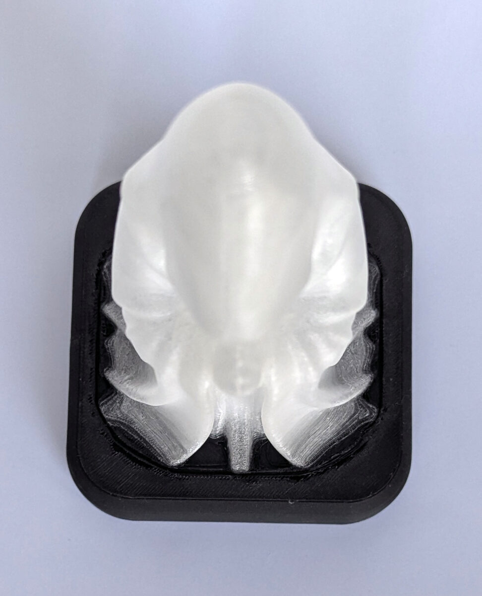 Wraith LED Lamp photographed from the top